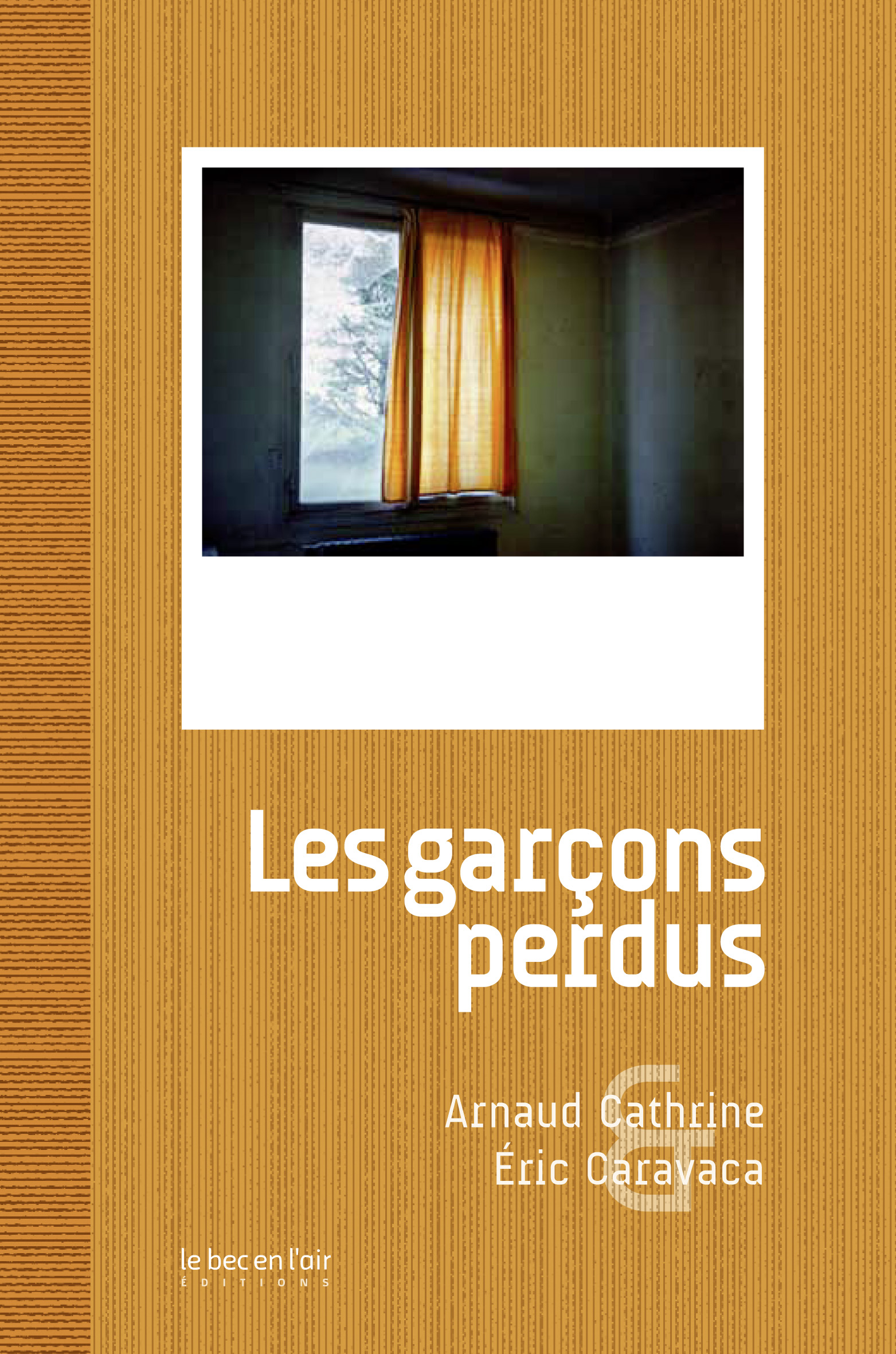 Les garçons perdus